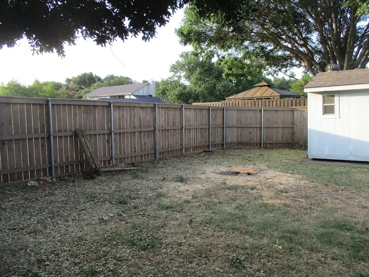 Cleared yard after professional tree removal in Polo